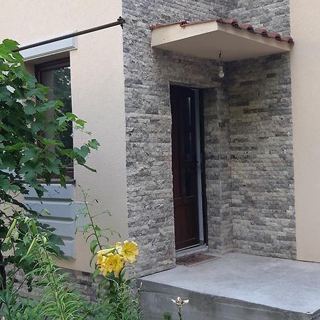 Casa Cu Tei Lejlighed Cluj-Napoca Eksteriør billede