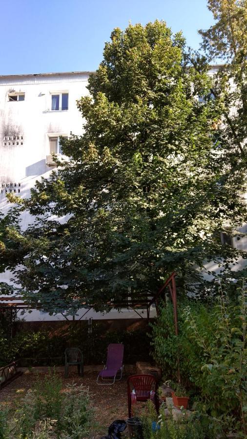 Casa Cu Tei Lejlighed Cluj-Napoca Eksteriør billede
