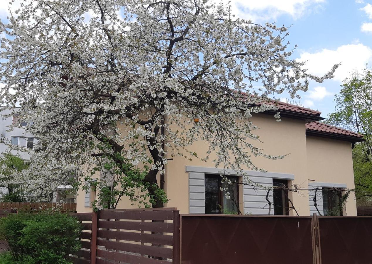 Casa Cu Tei Lejlighed Cluj-Napoca Eksteriør billede